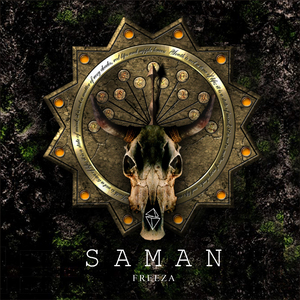 A久久96视频免费
