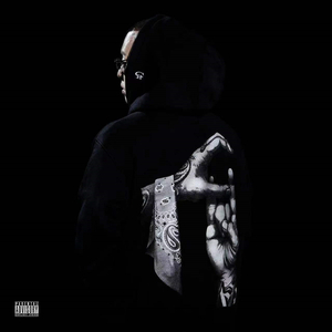 A久久96视频免费
