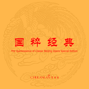 A久久96视频免费
