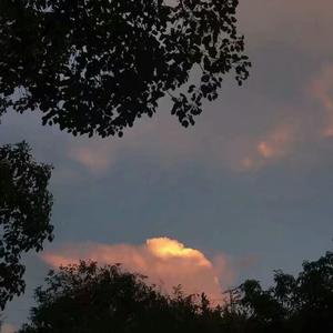 A久久96视频免费
