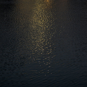 A久久96视频免费
