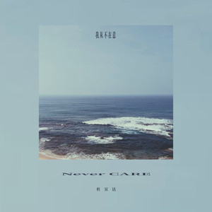 A久久96视频免费
