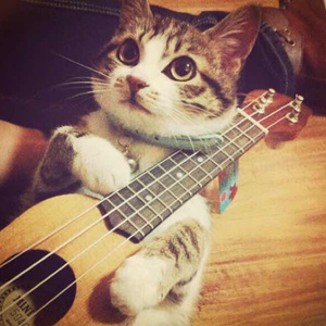 A久久96视频免费
